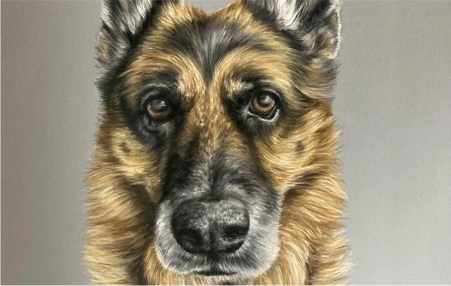 dingleart - dog